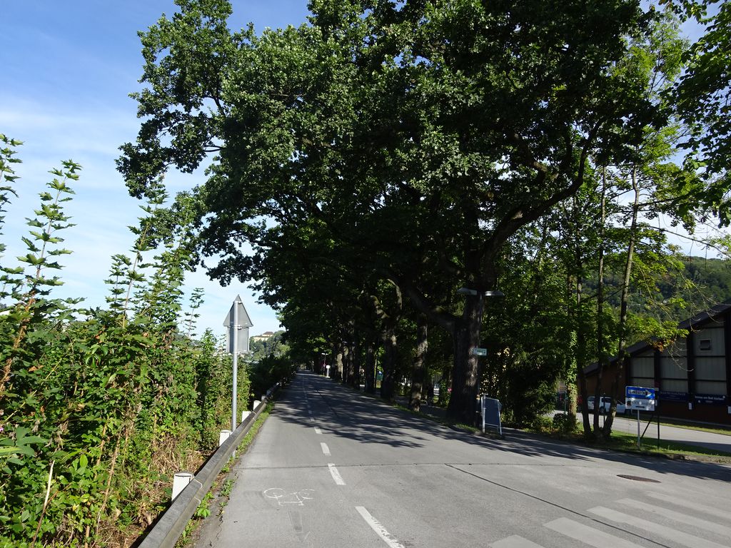 Datei:2015-08-27 08.05.28.jpg
